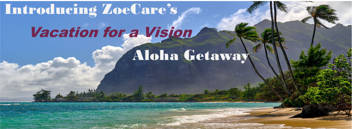 Vacation for a Vision